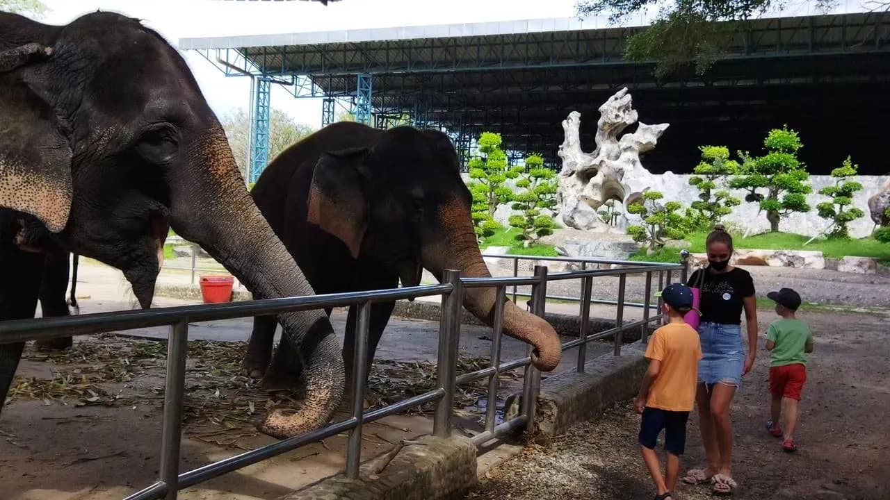 Изображение услуги1