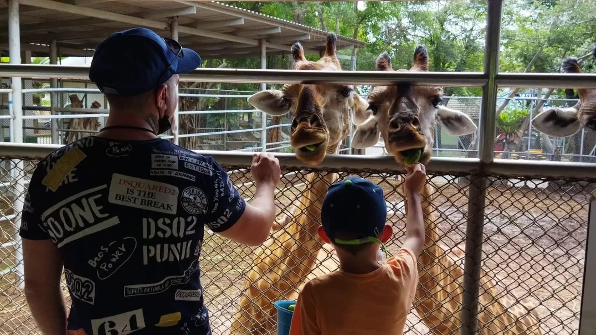 Изображение услуги2