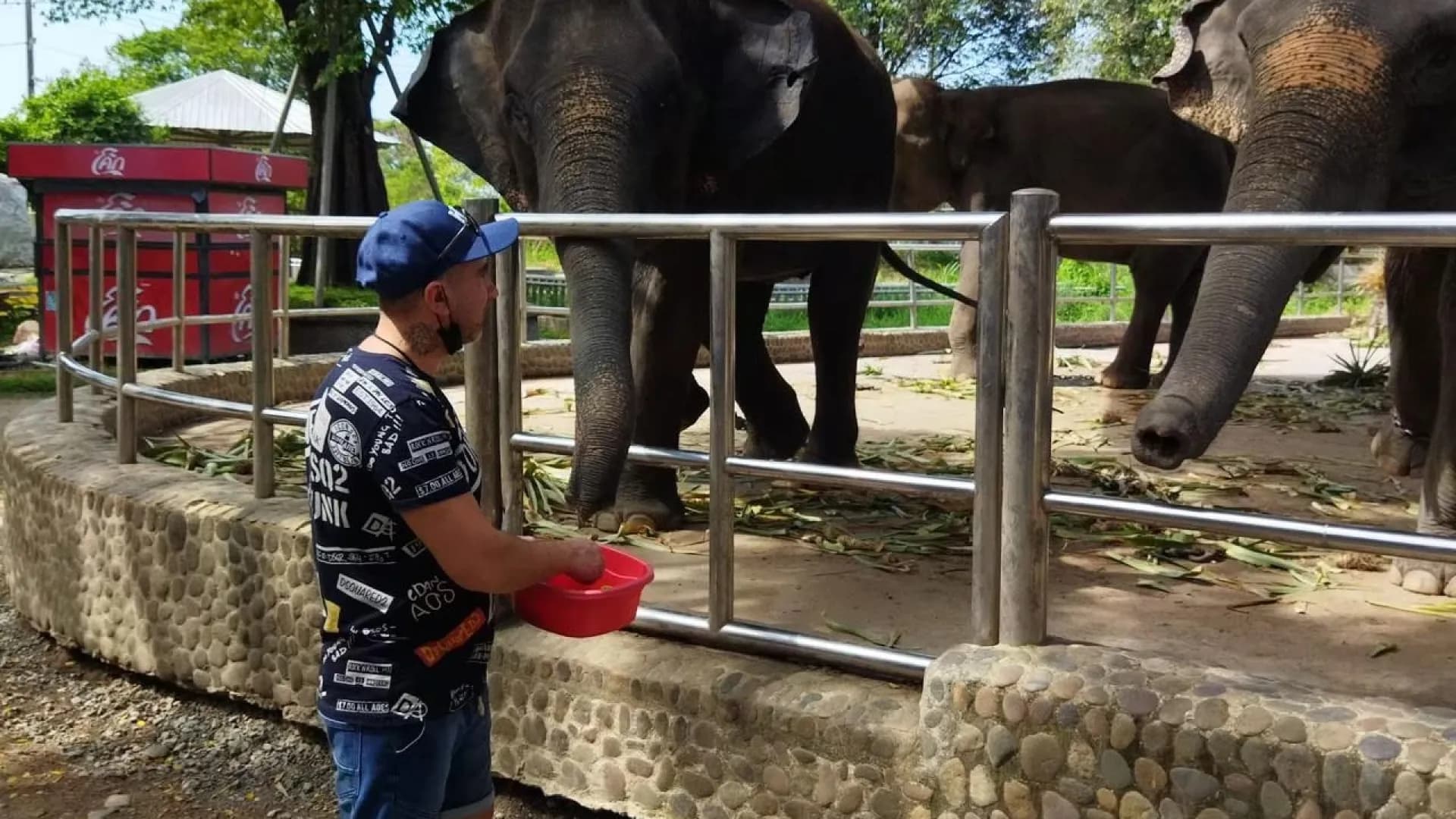 Изображение услуги3