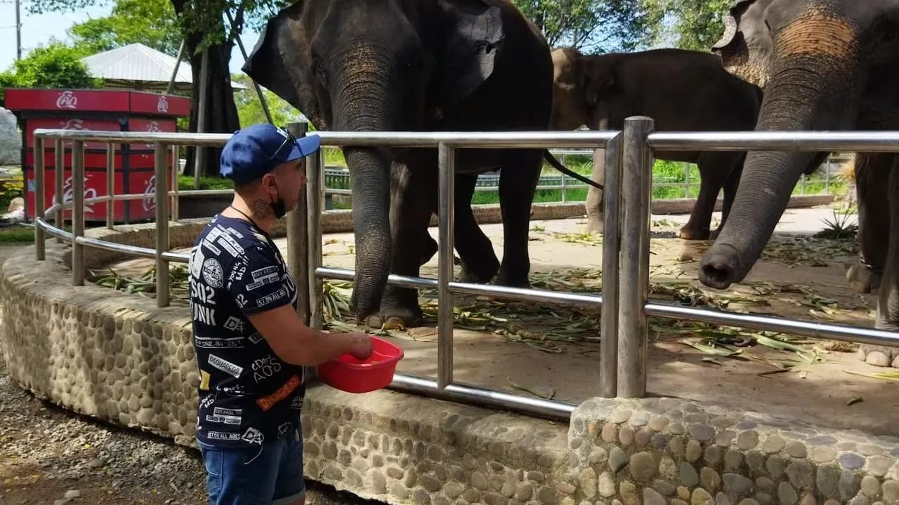 Изображение услуги3