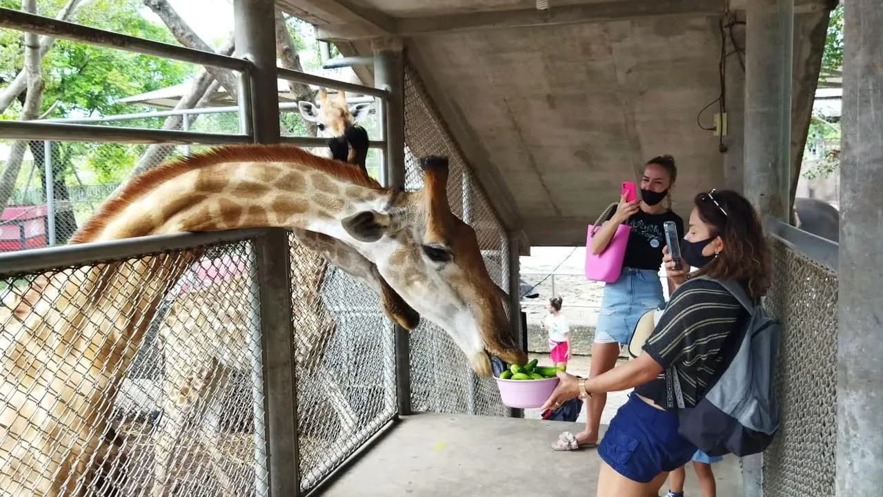 Изображение услуги4