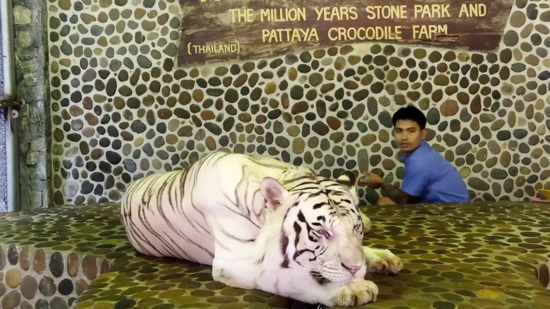 Изображение услуги5