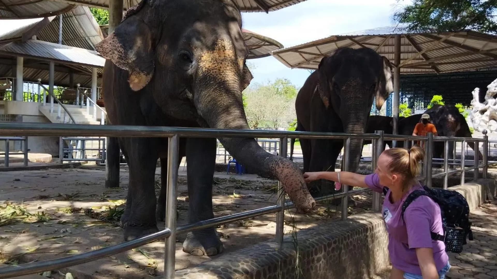 Изображение услуги6