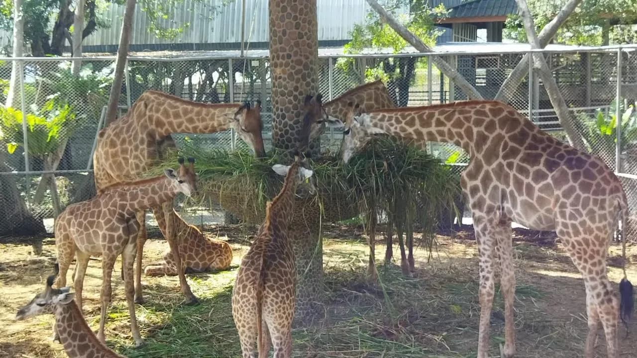 Изображение услуги7