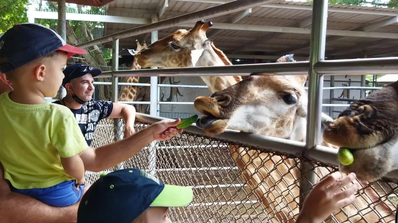 Изображение услуги8