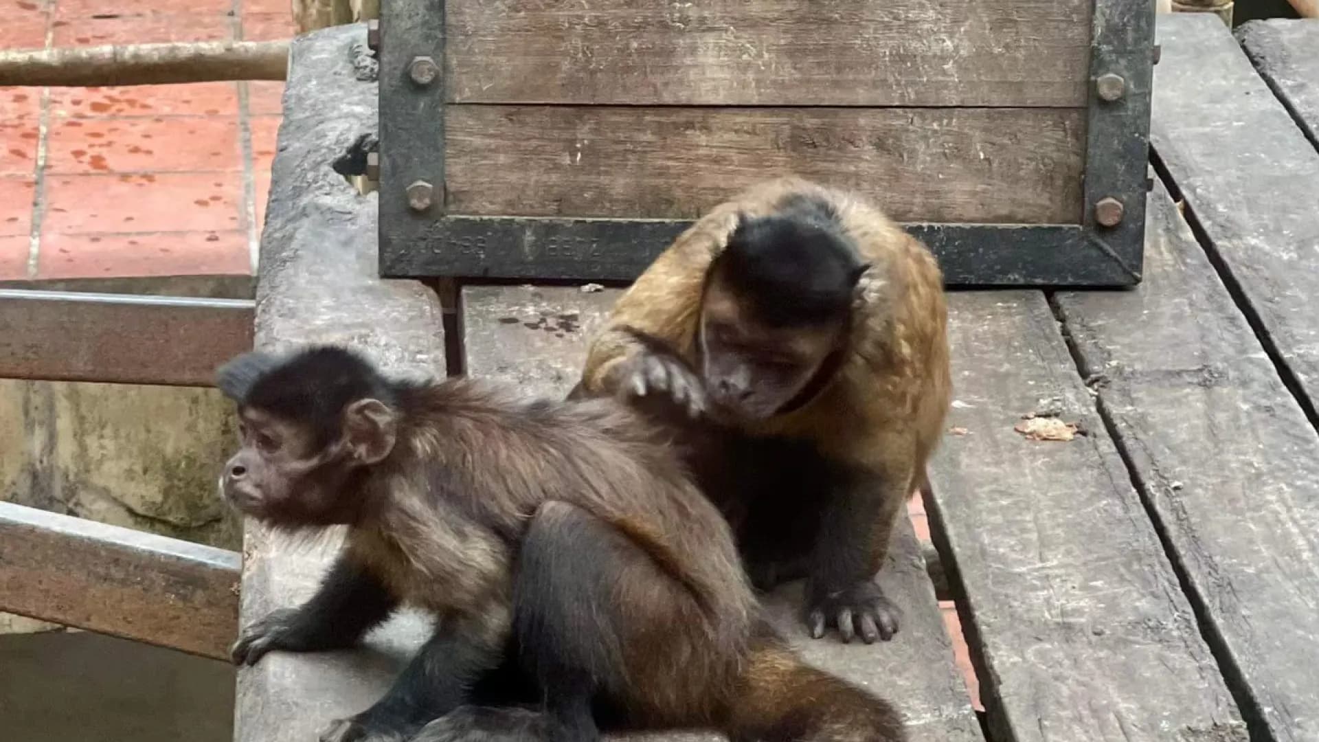 Изображение услуги2