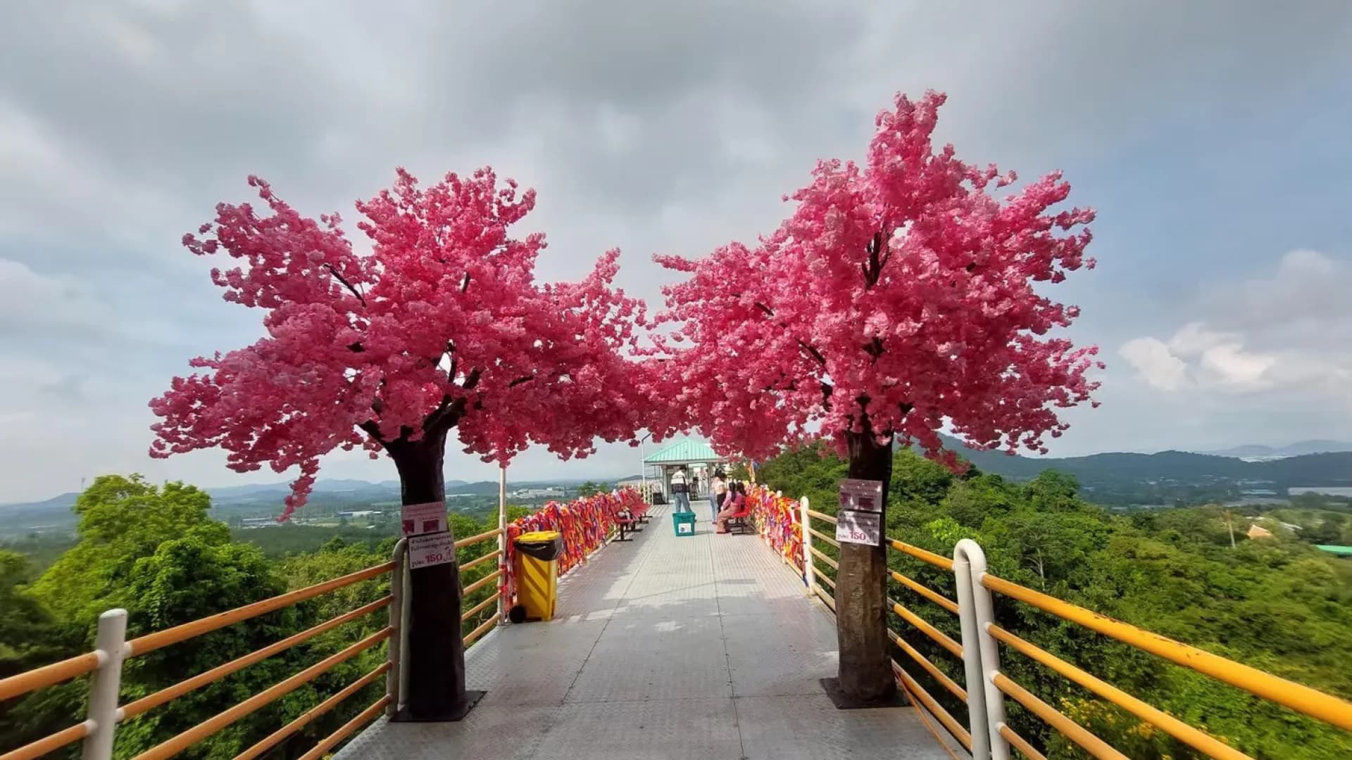 Изображение услуги3