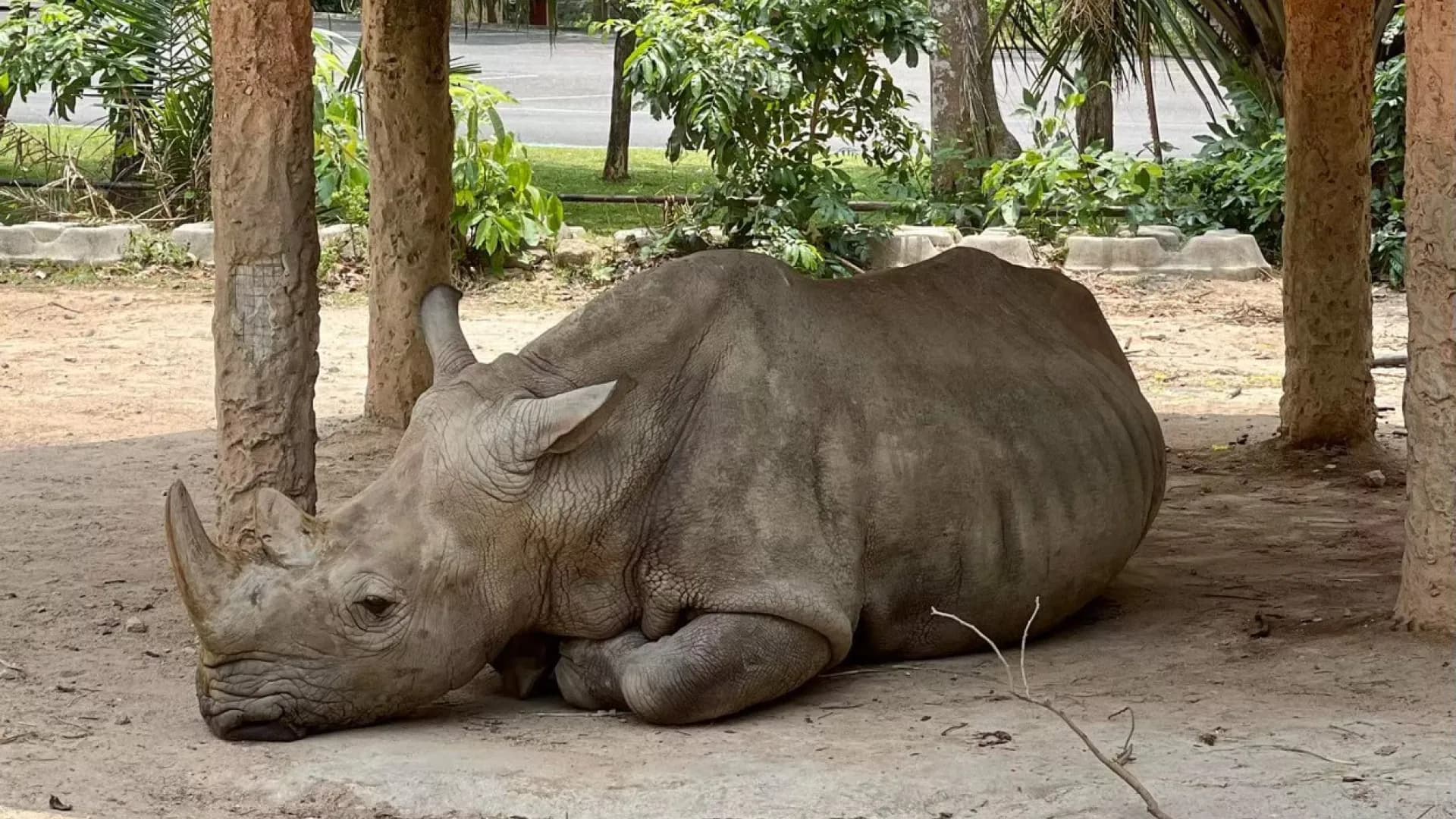 Изображение услуги4