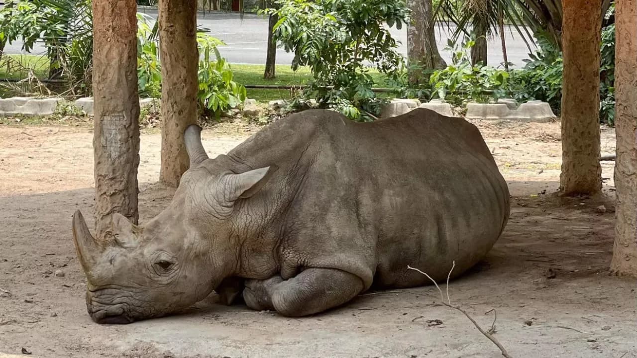 Изображение услуги4