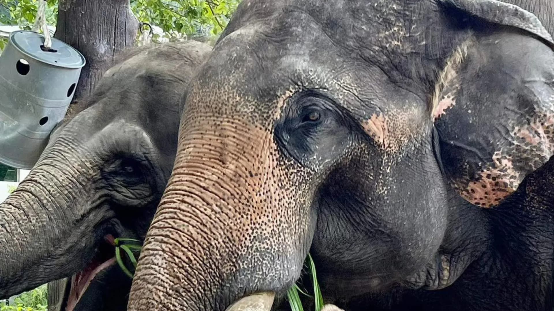 Изображение услуги5