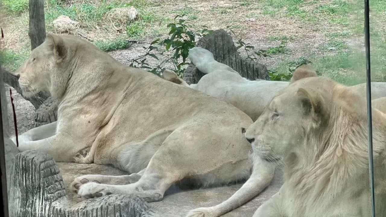 Изображение услуги6