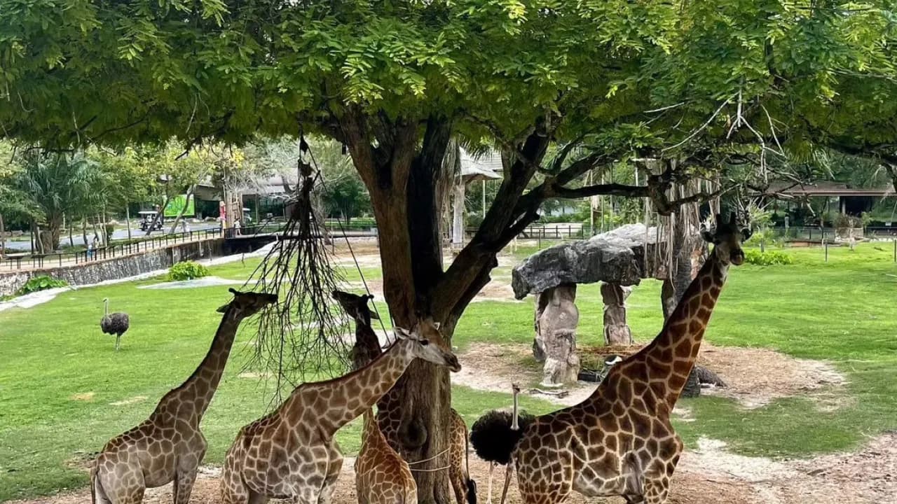 Изображение услуги7