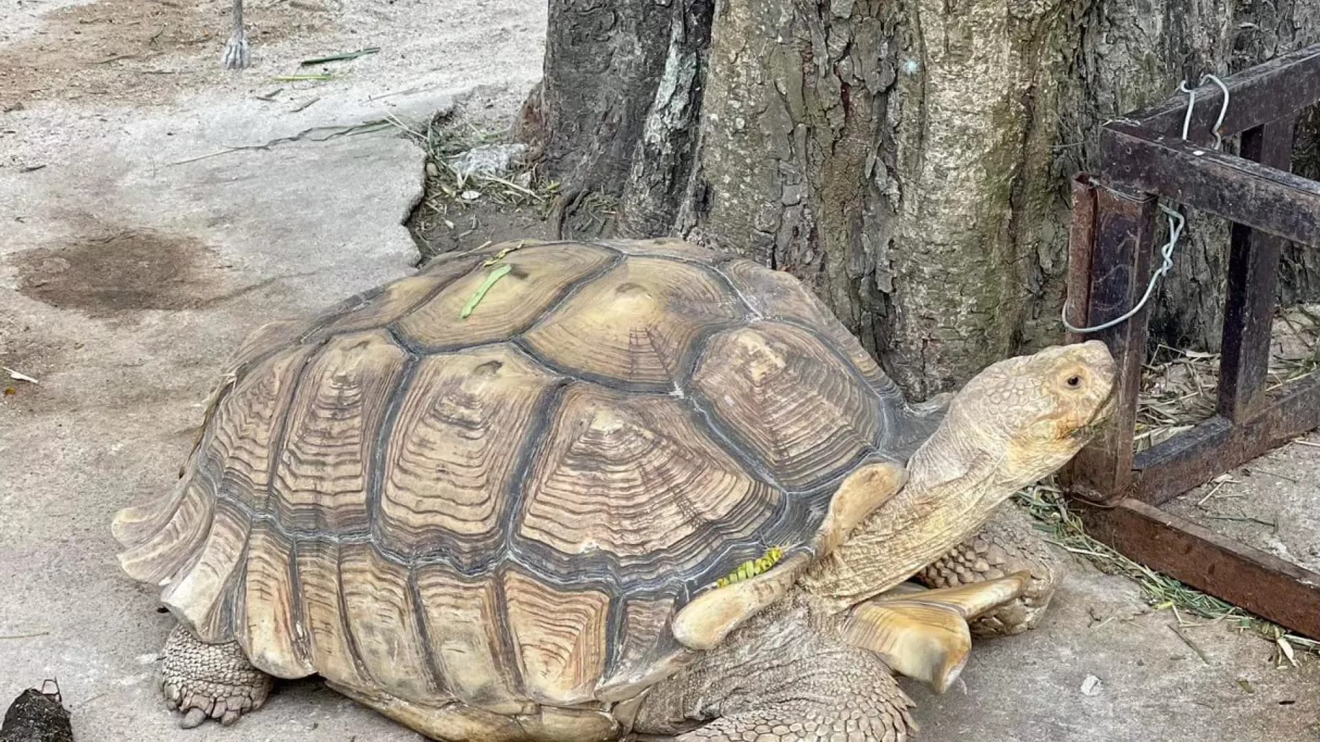 Изображение услуги8