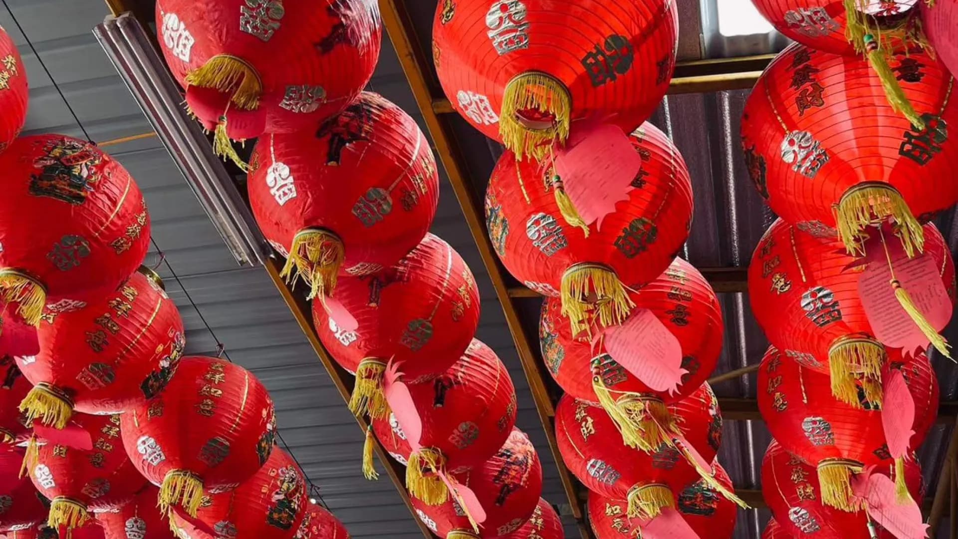 Изображение услуги10