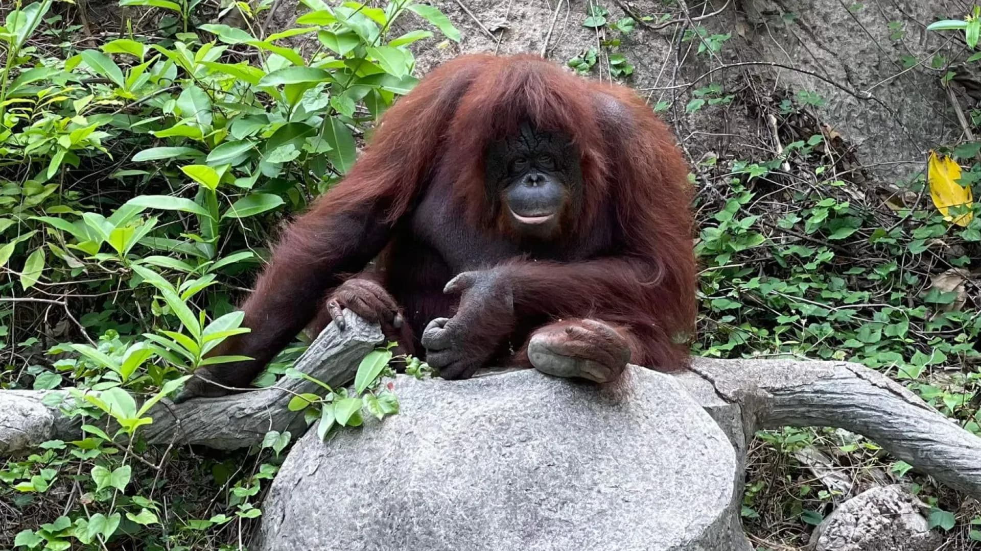 Изображение услуги12