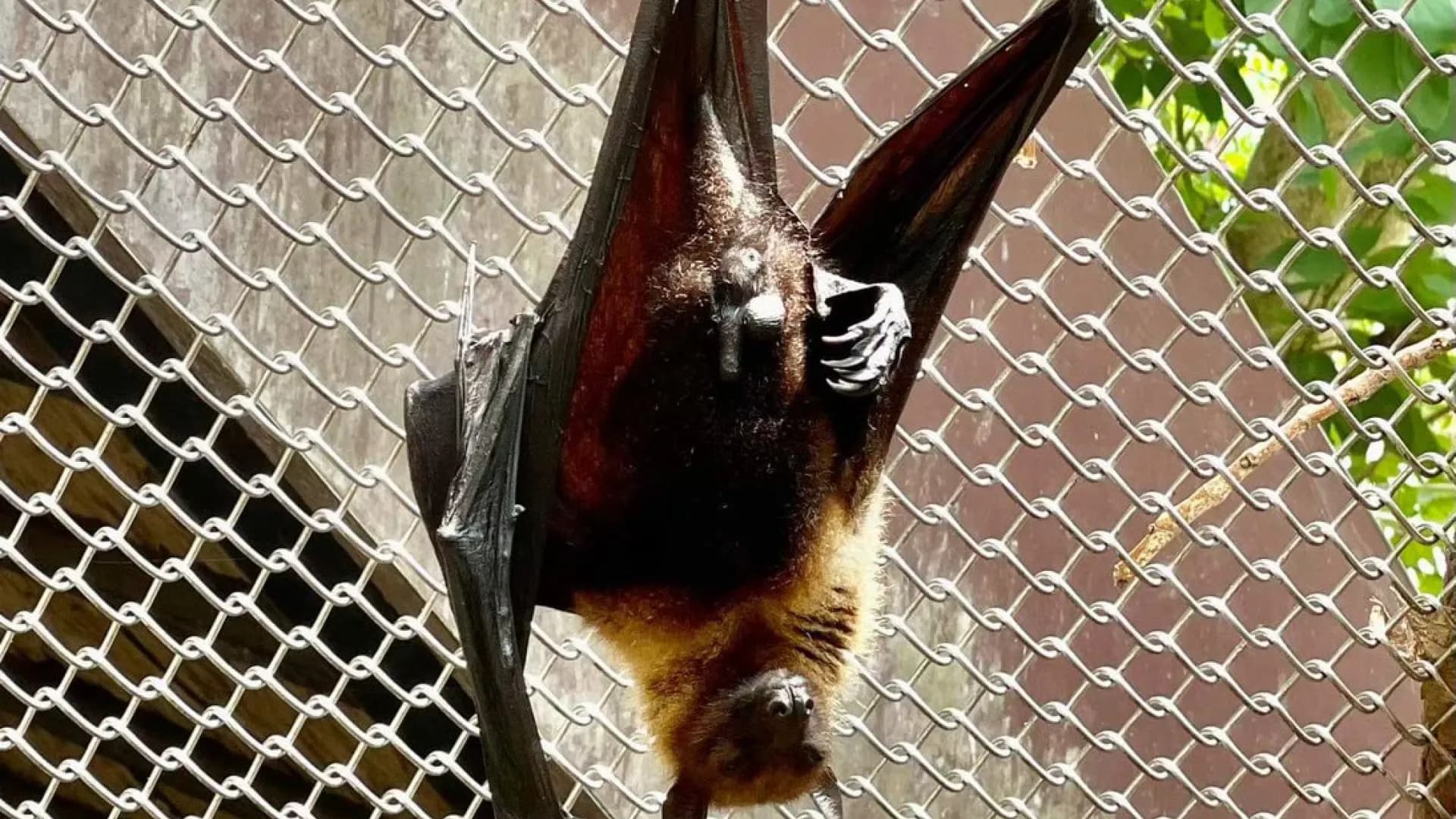 Изображение услуги13