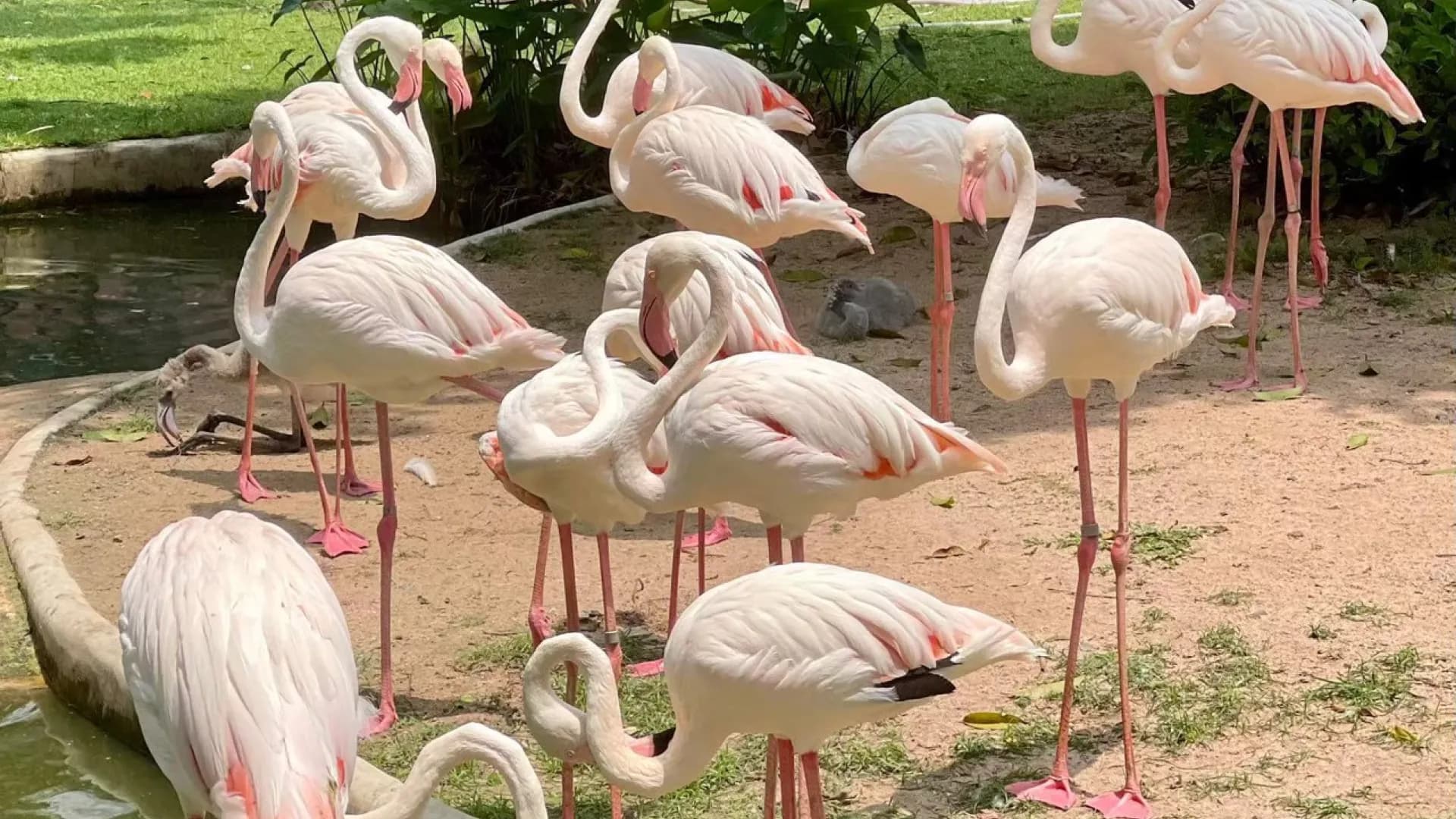 Изображение услуги14