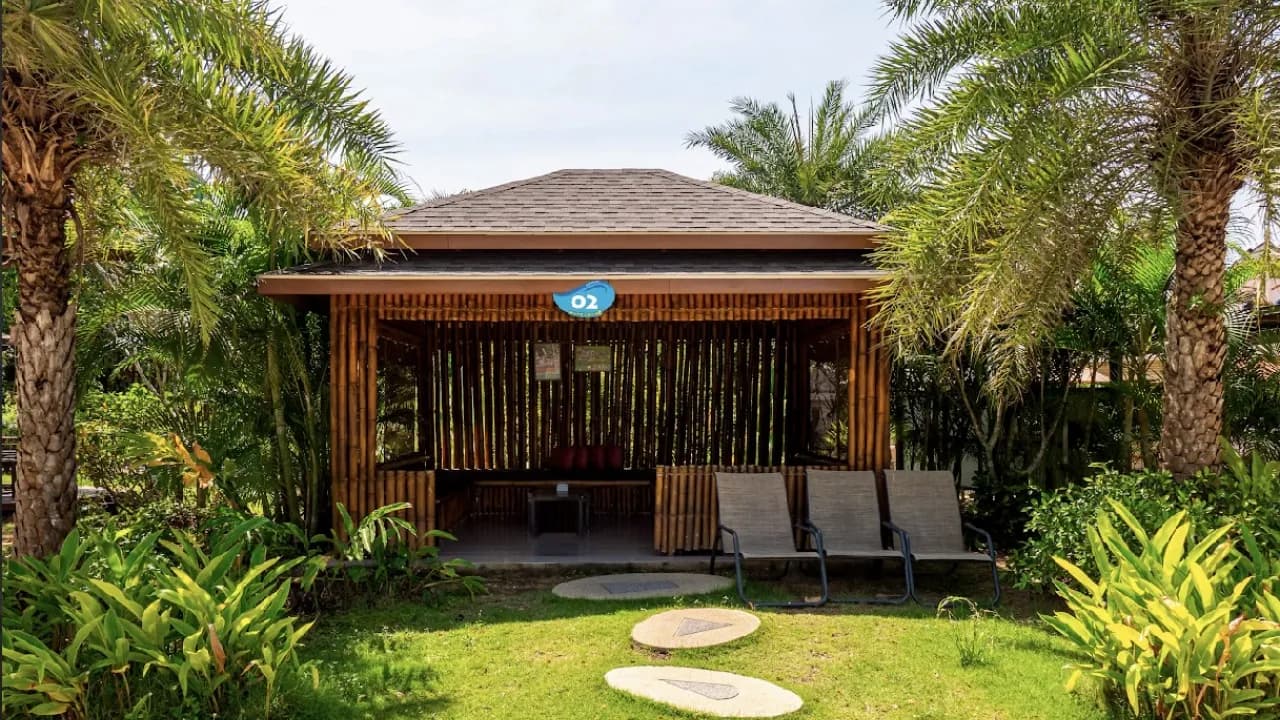 Изображение услуги5