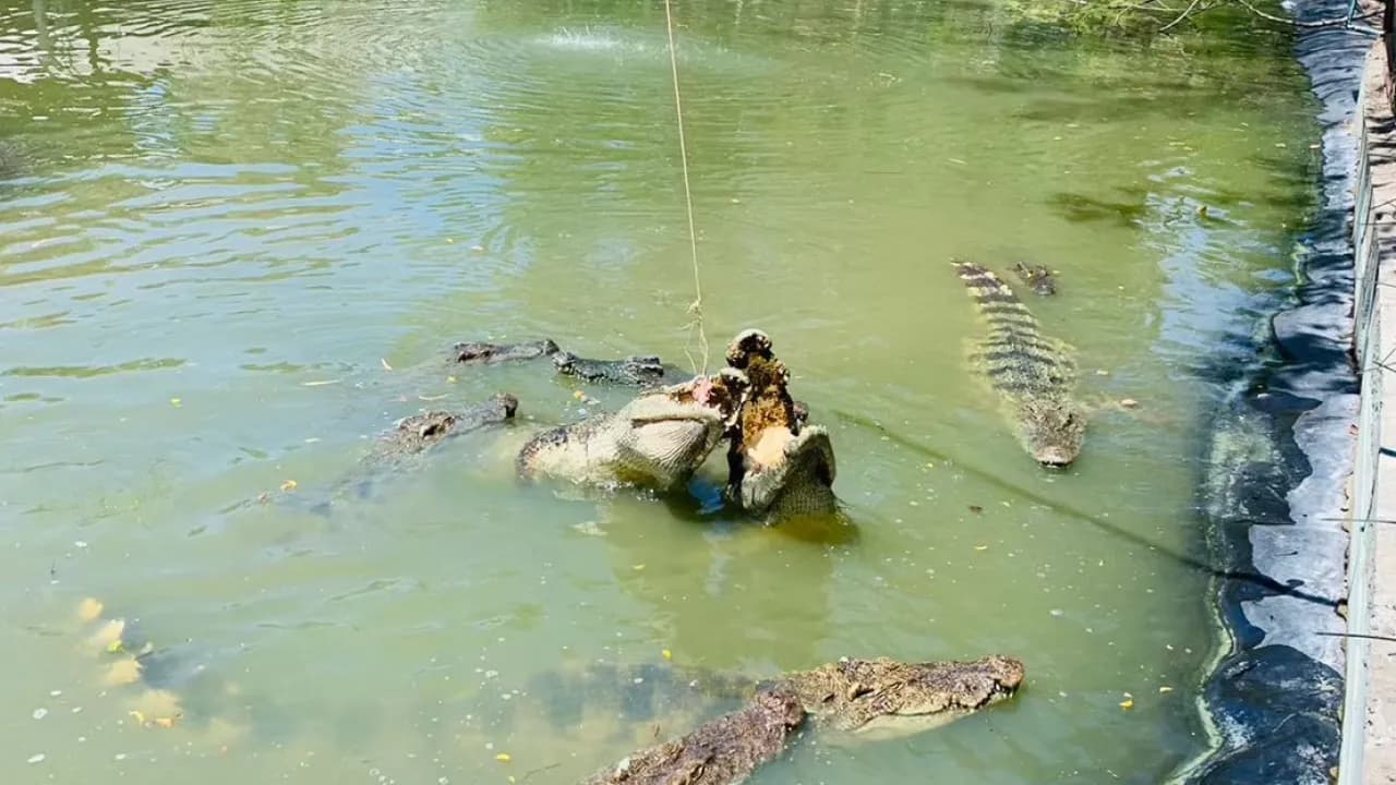 Изображение услуги10