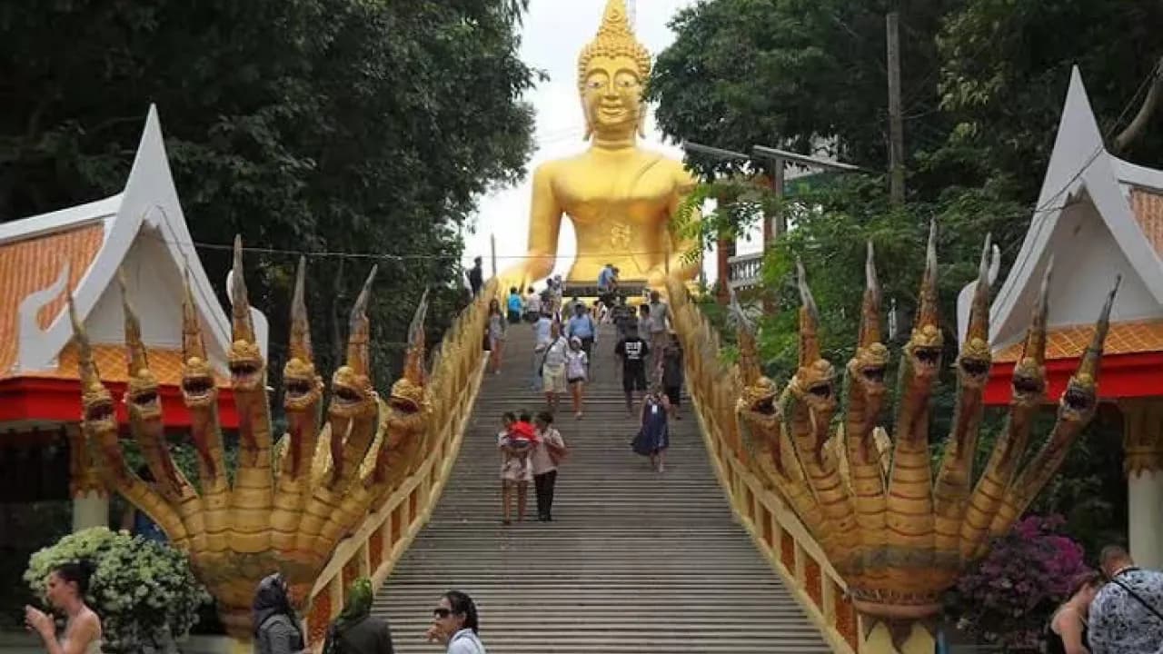 Изображение услуги2