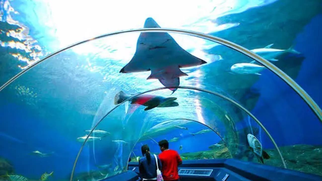 Изображение услуги5