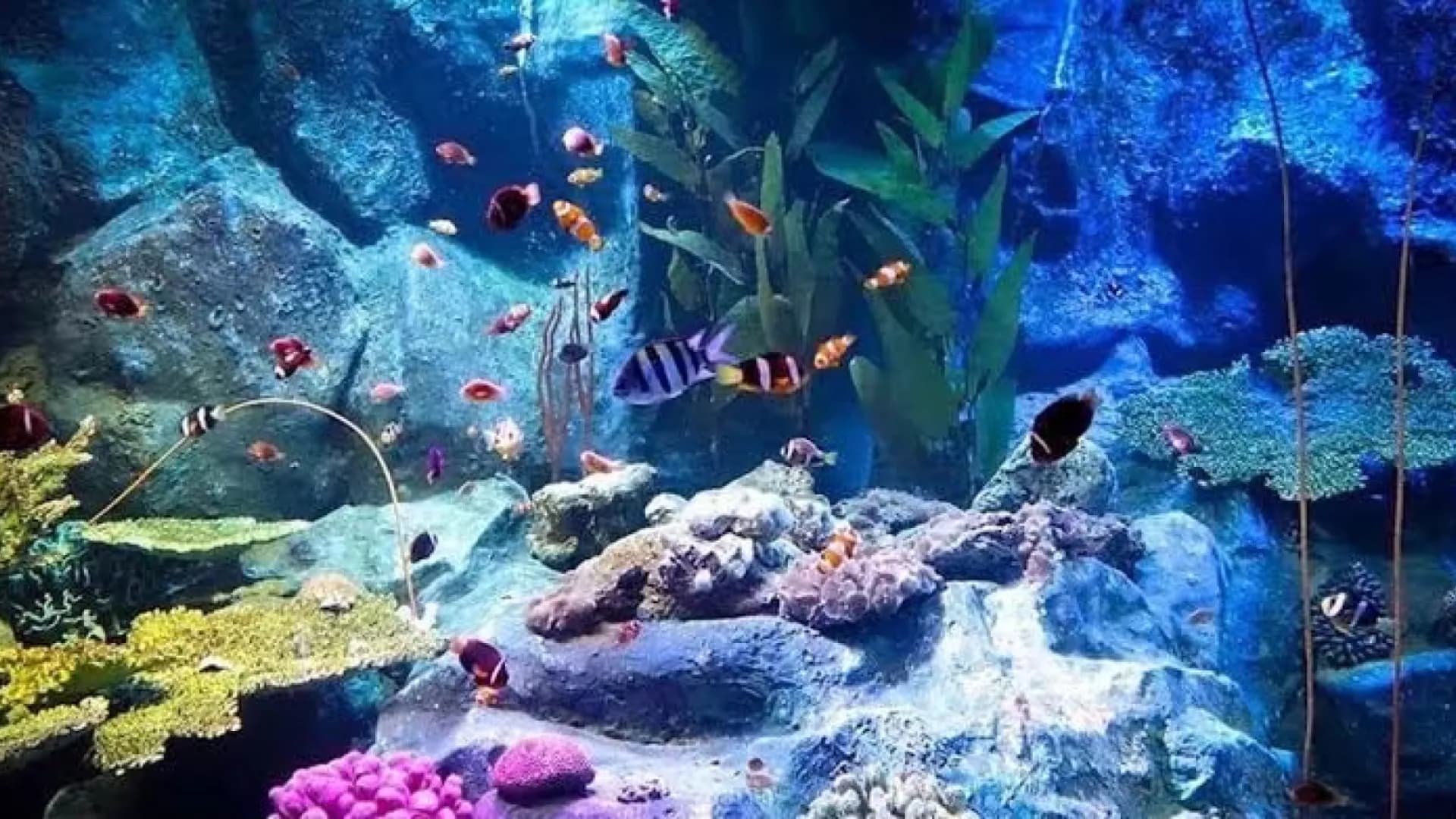 Изображение услуги7