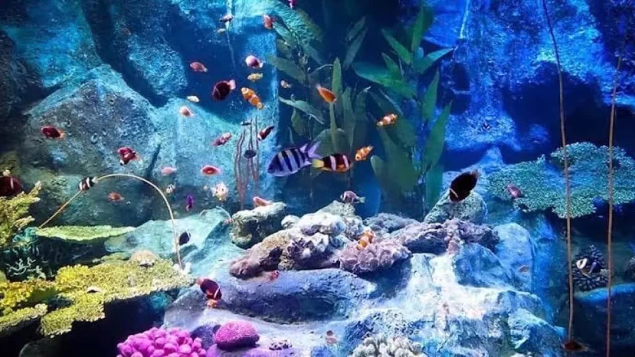 Изображение услуги7