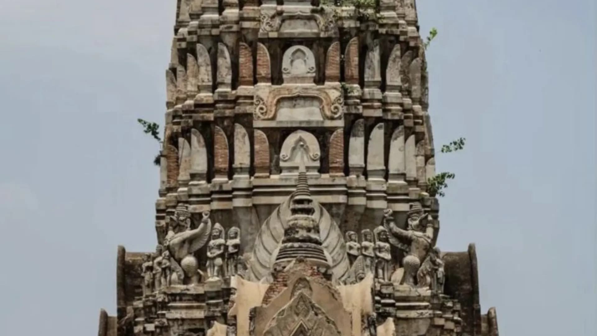 Изображение услуги5