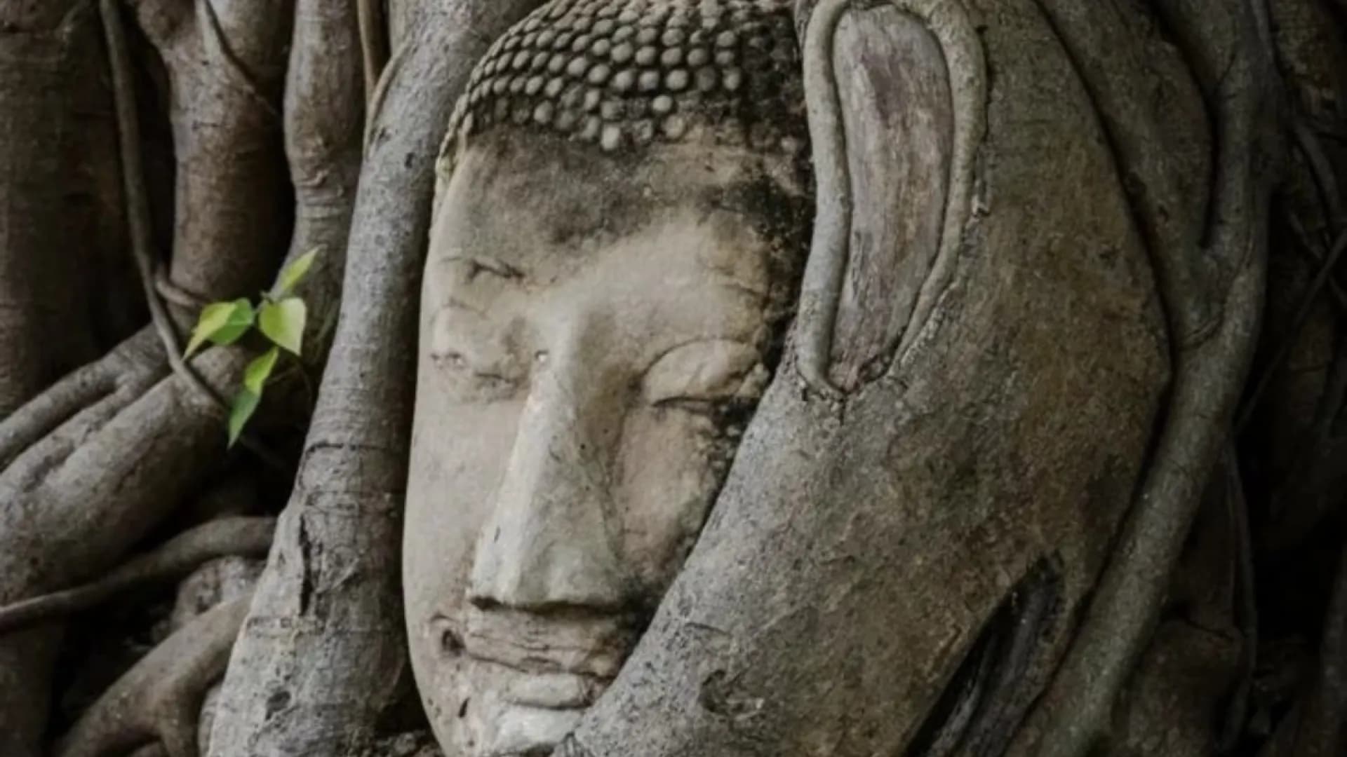 Изображение услуги7