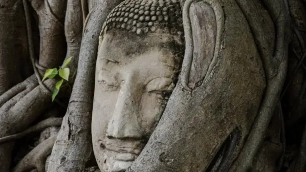 Изображение услуги7