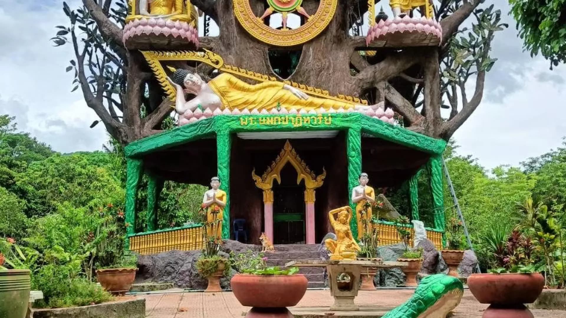 Изображение услуги0