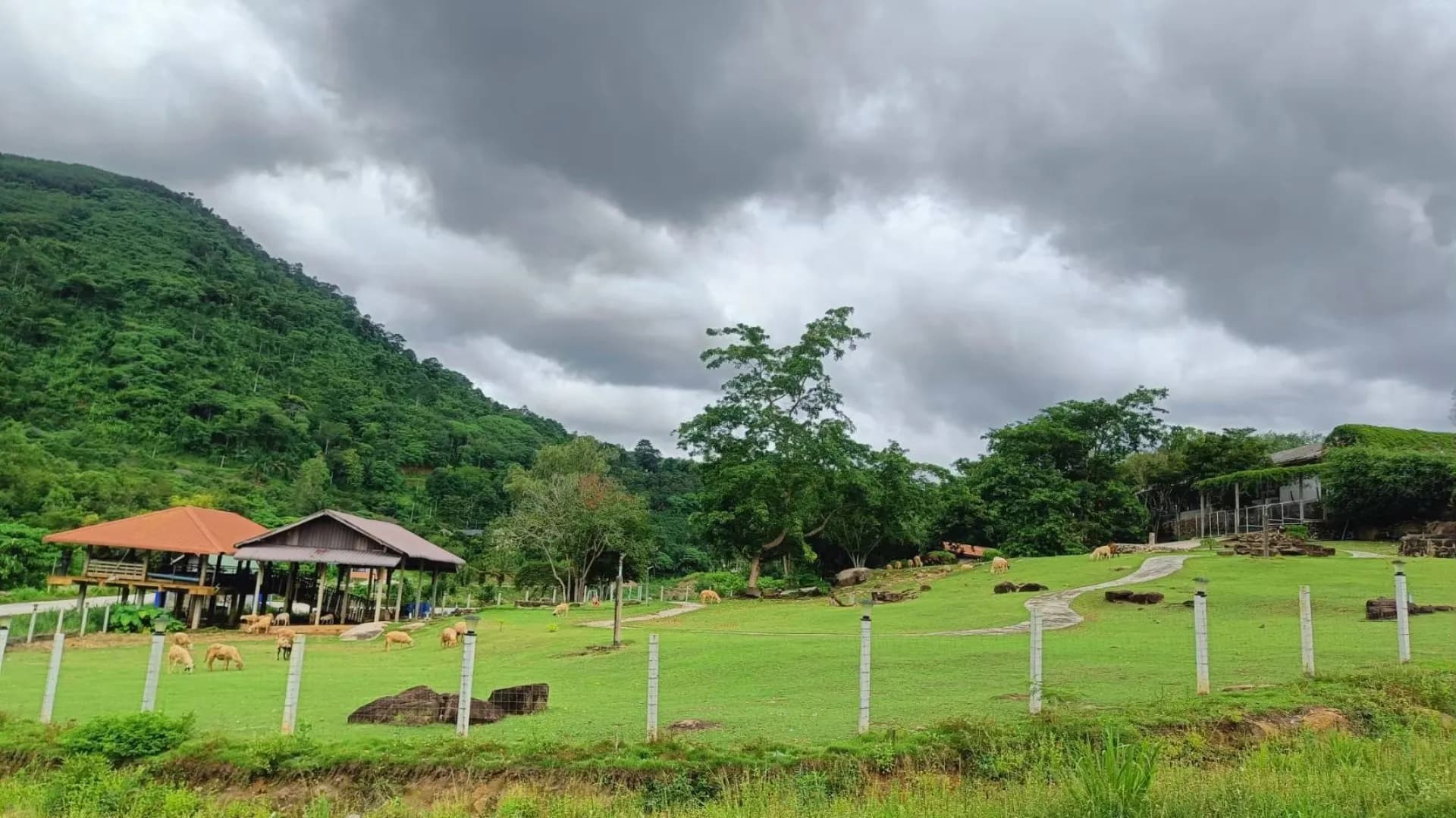 Изображение услуги3