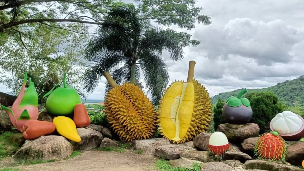 Изображение услуги5