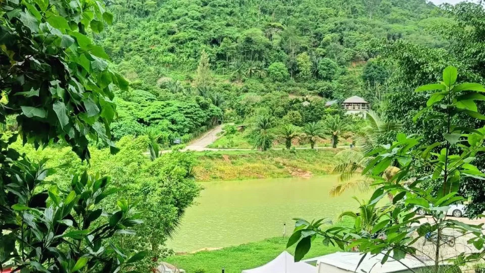 Изображение услуги7