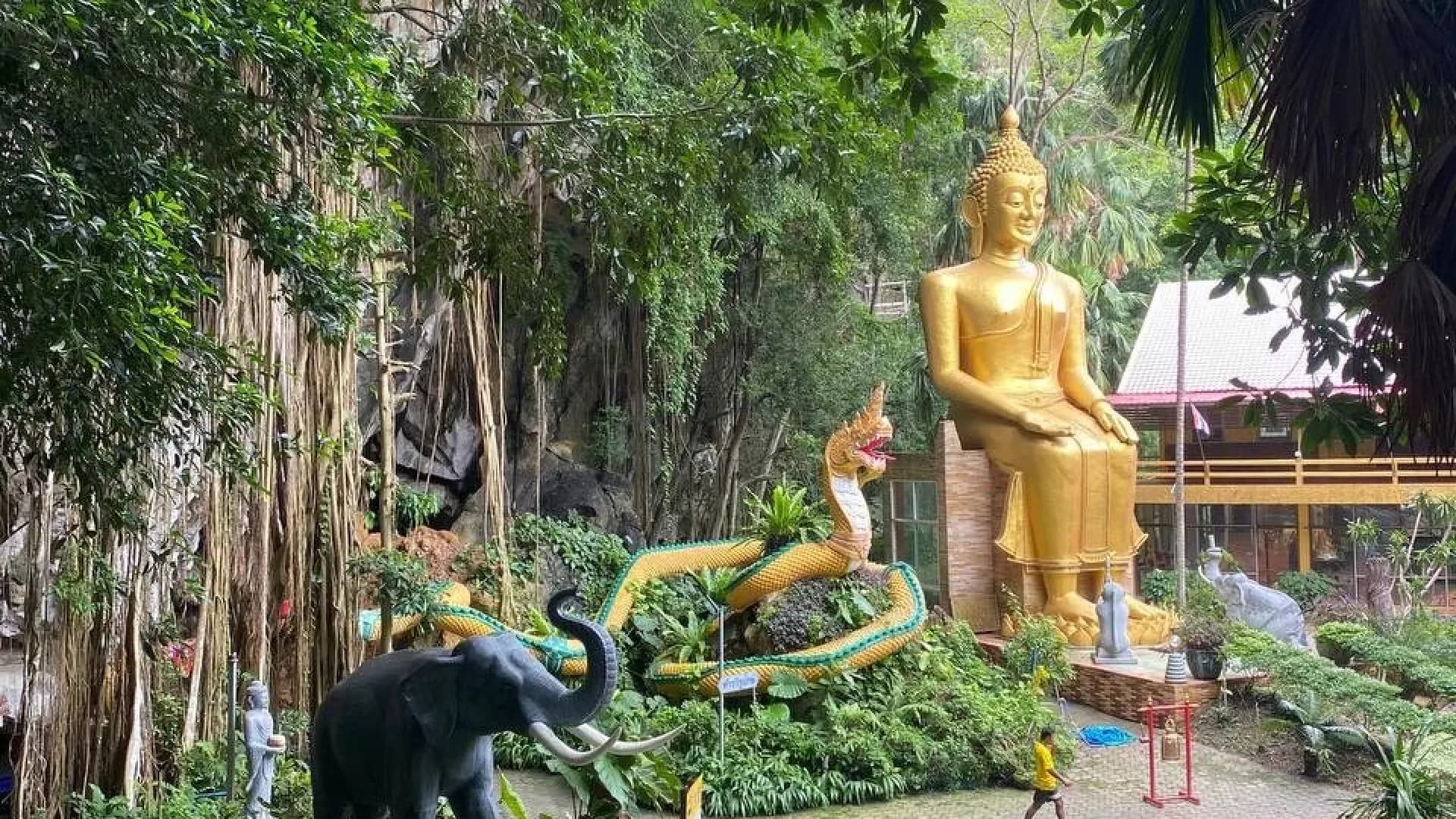 Изображение услуги8