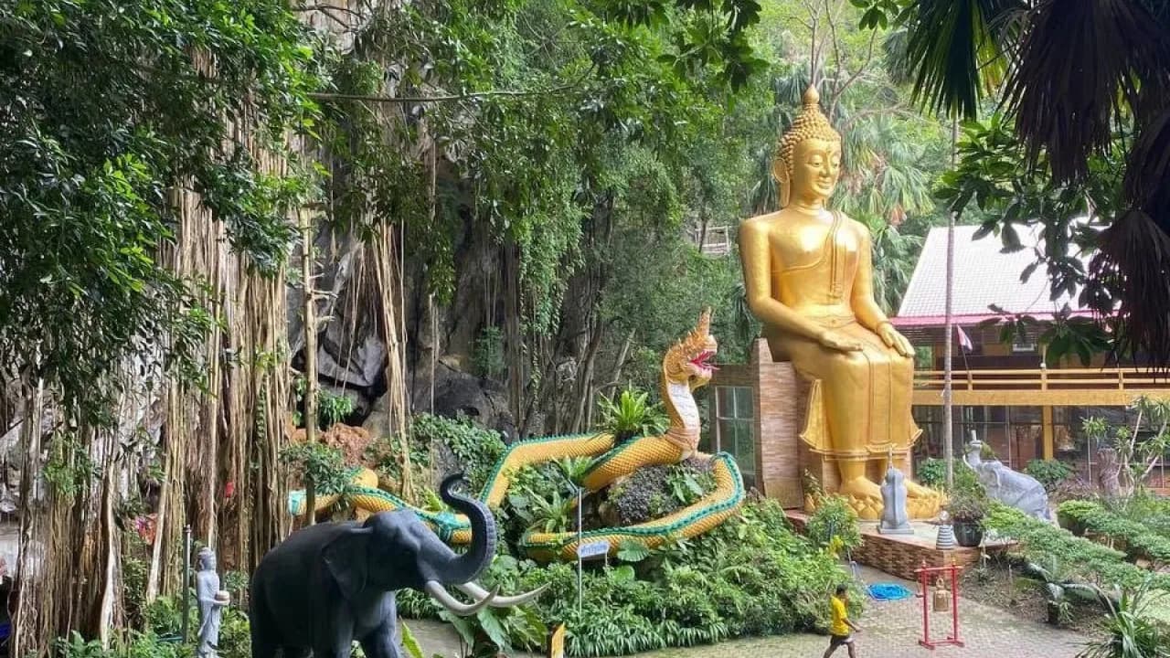 Изображение услуги8