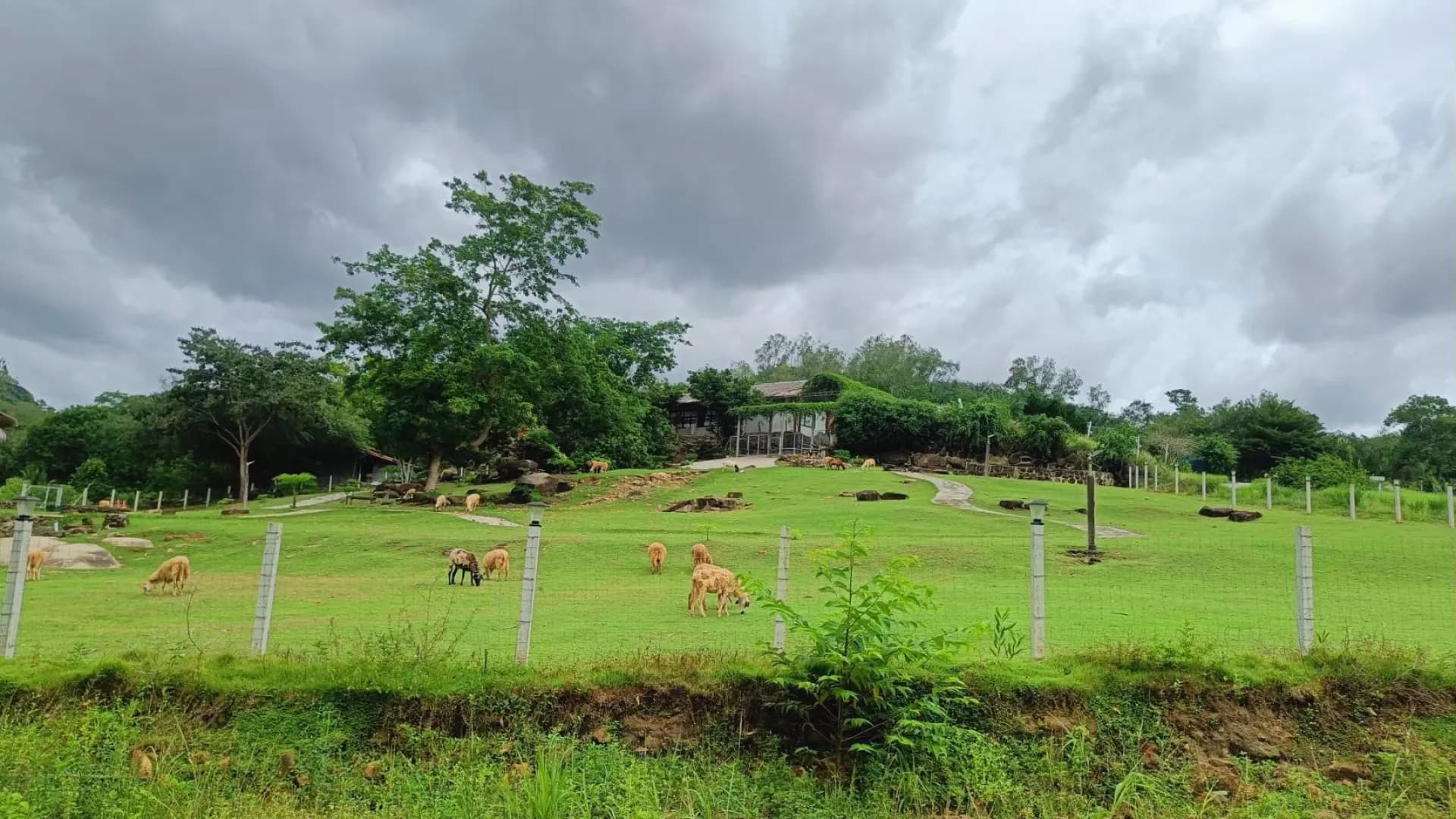 Изображение услуги10