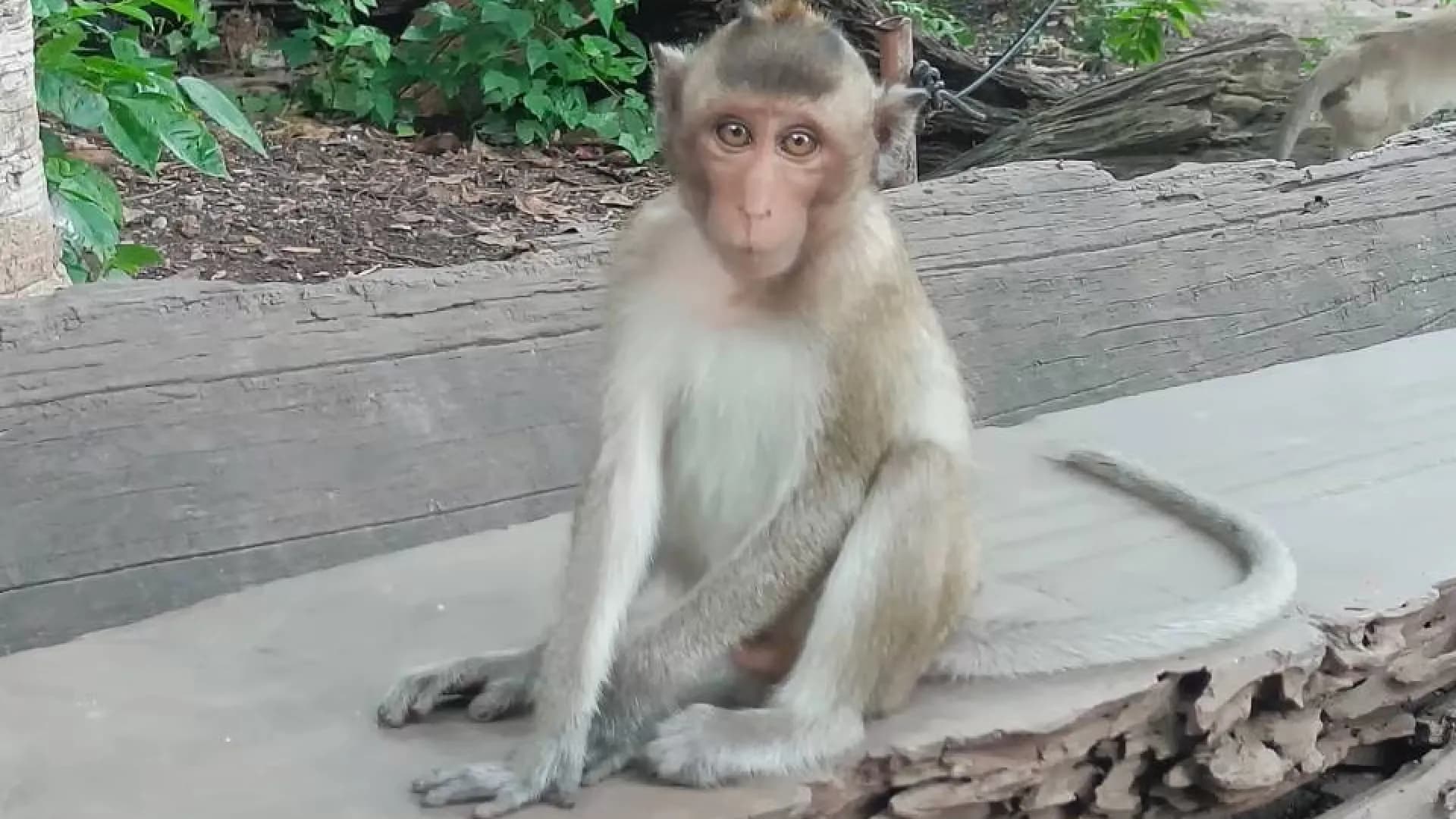 Изображение услуги11