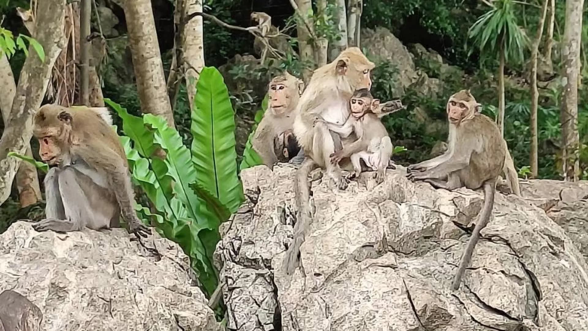 Изображение услуги9