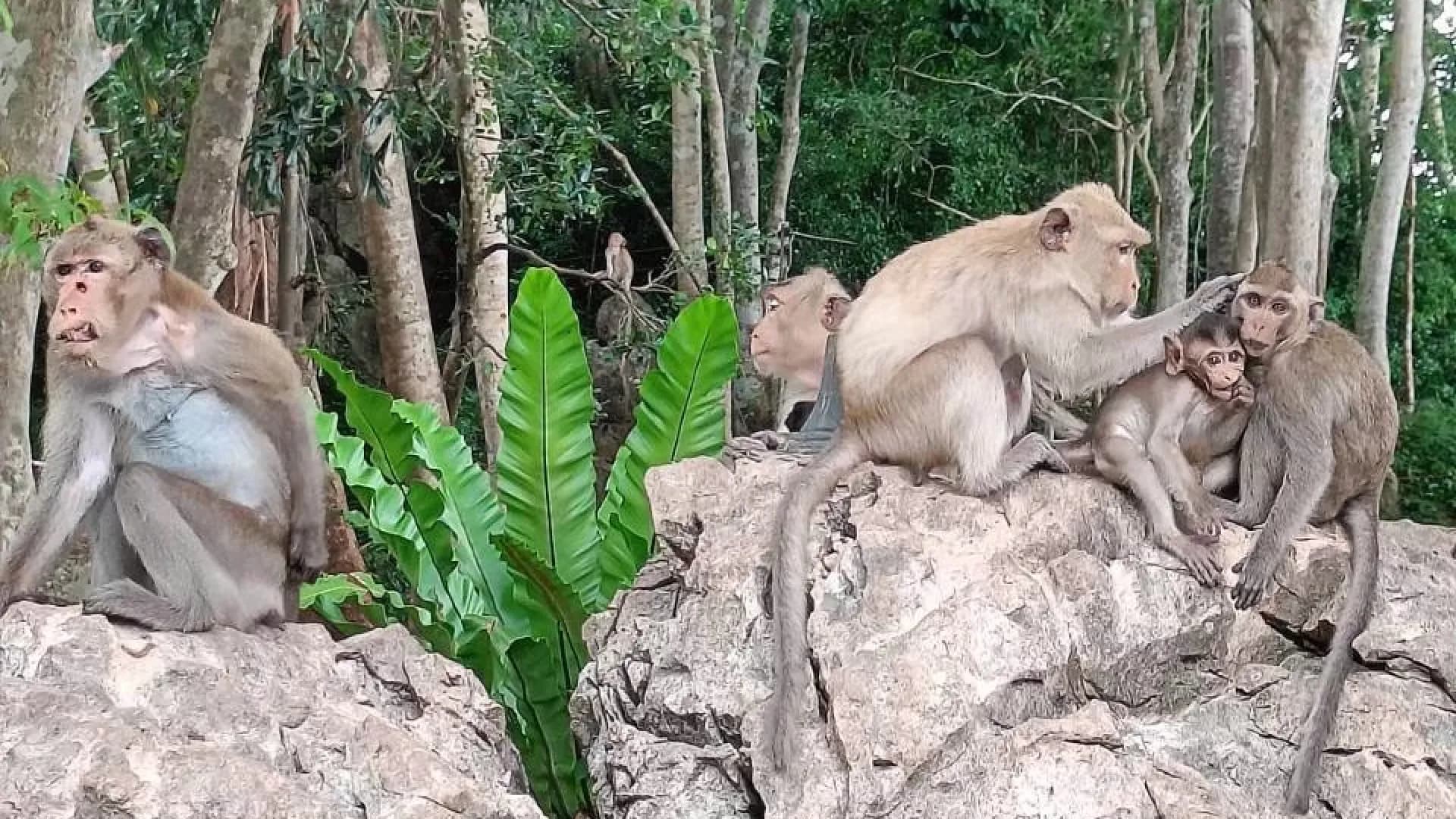 Изображение услуги13