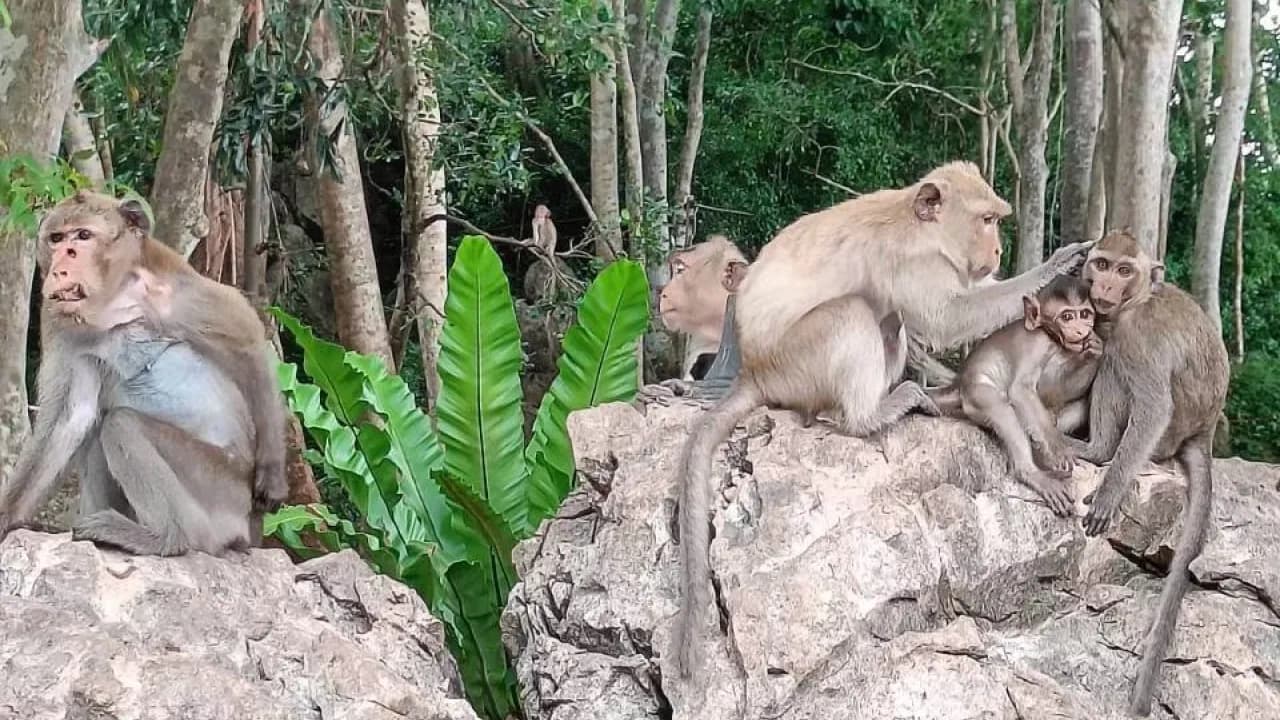 Изображение услуги13