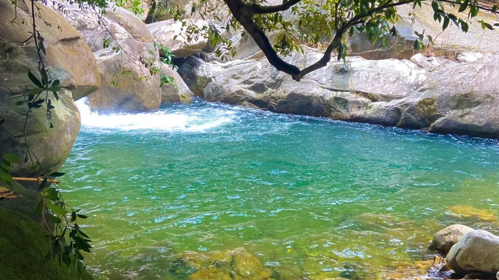 Изображение услуги2