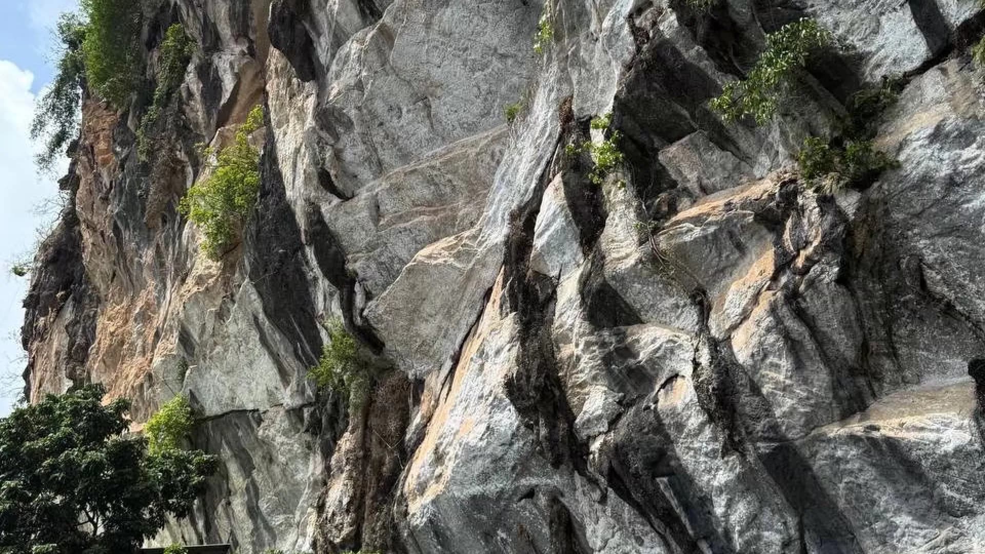 Изображение услуги3