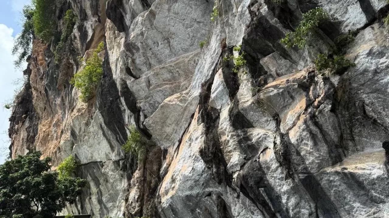 Изображение услуги3