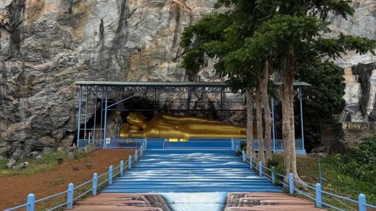 Изображение услуги4