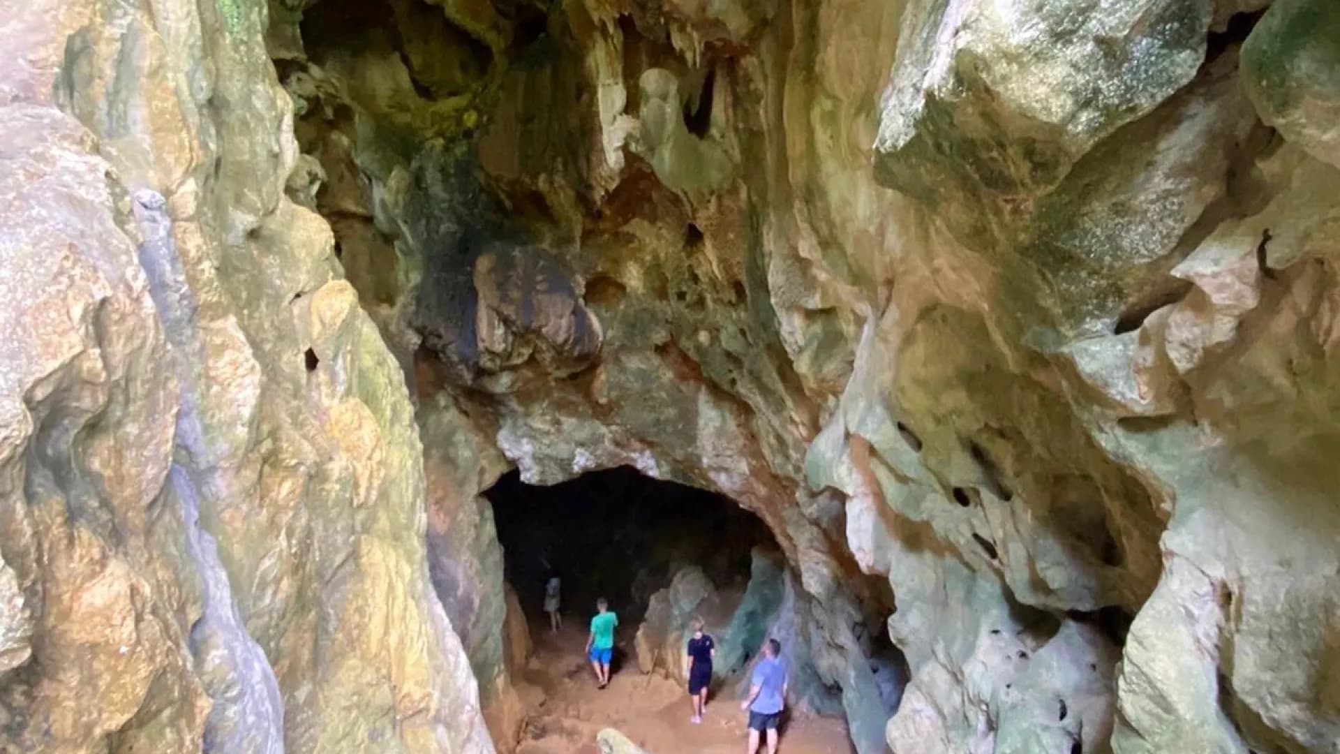 Изображение услуги5