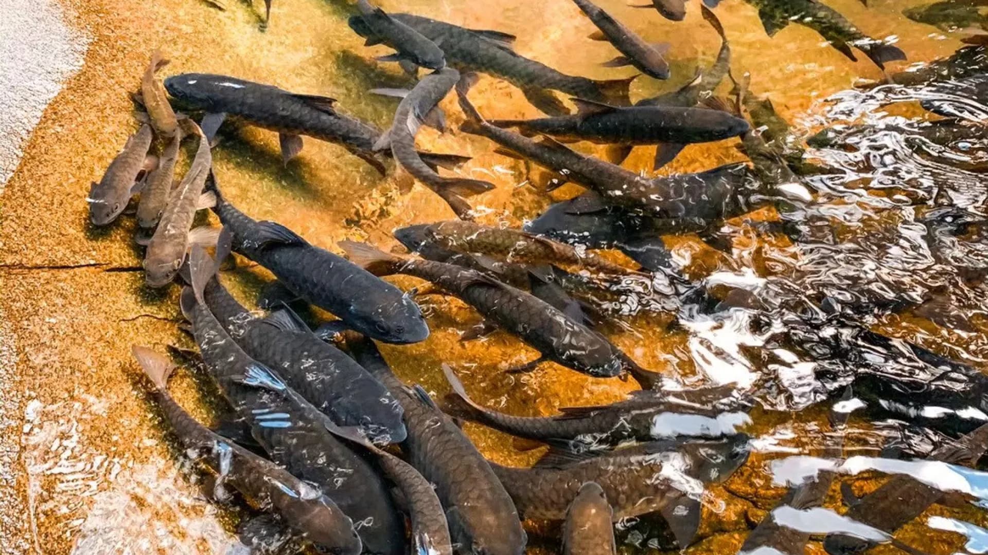 Изображение услуги6