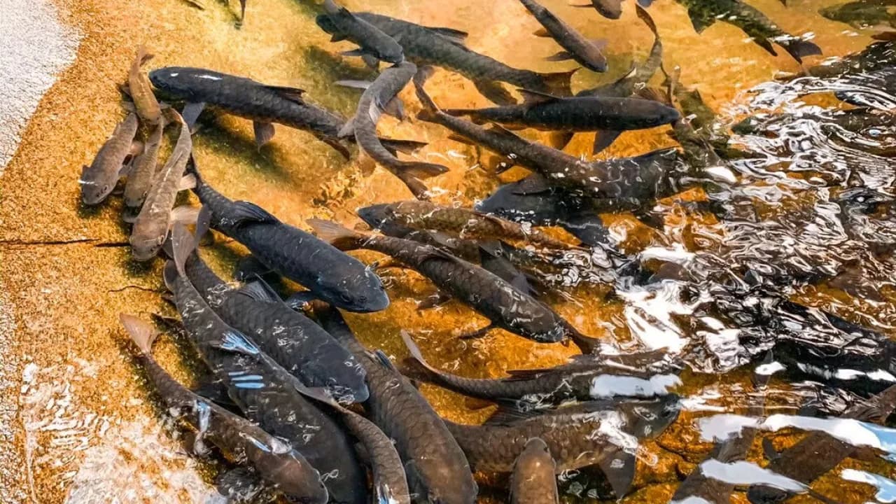 Изображение услуги6