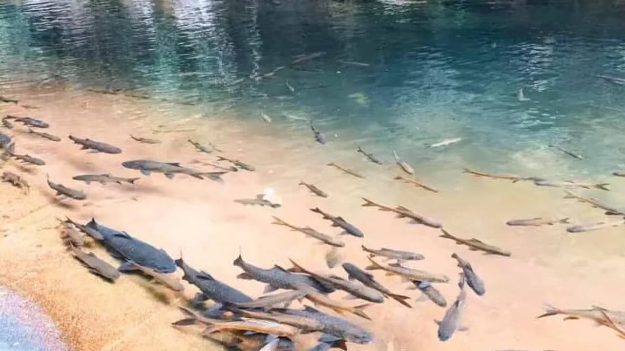 Изображение услуги8