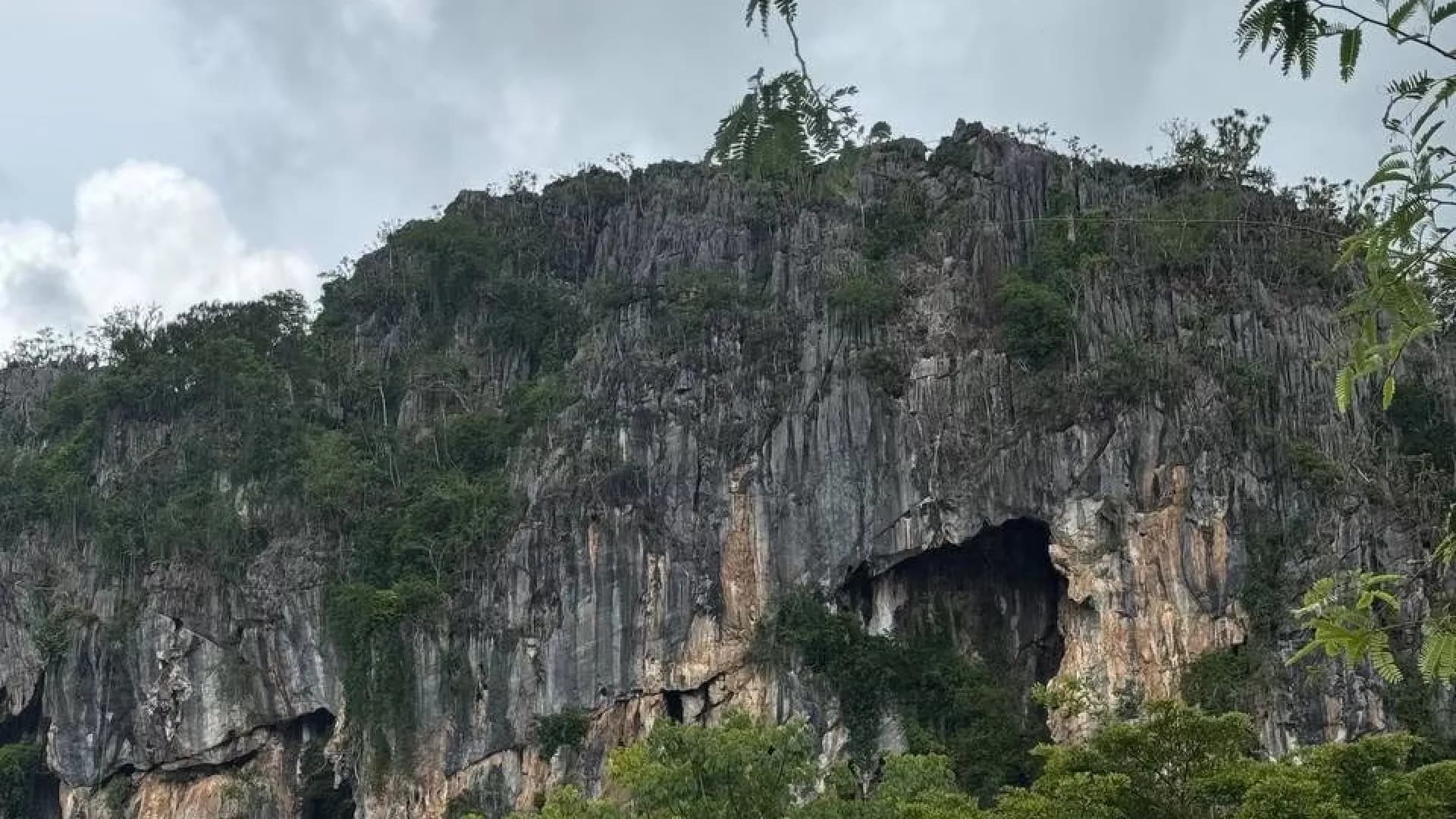 Изображение услуги9